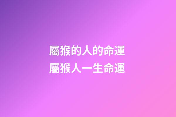 屬猴的人的命運 屬猴人一生命運